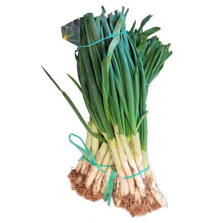 imagen principal del producto