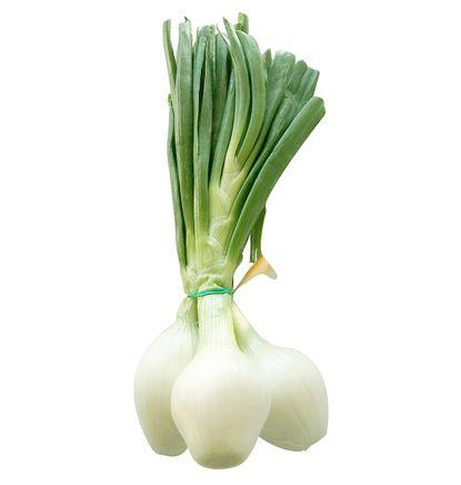 imagen principal del producto