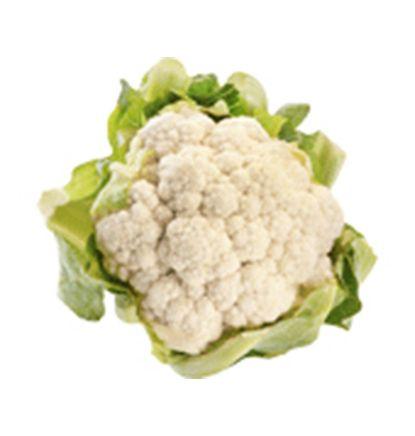 imagen principal del producto