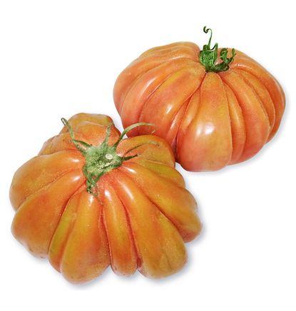 imagen principal del producto