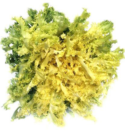 imagen principal del producto