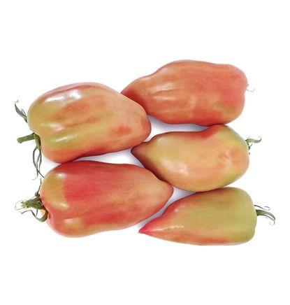 imagen principal del producto