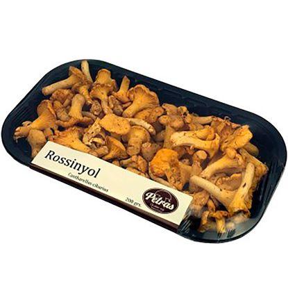 imagen principal del producto