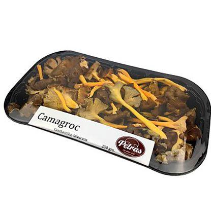 imagen principal del producto