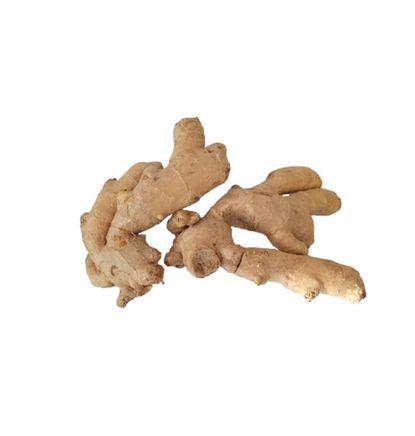 imagen principal del producto