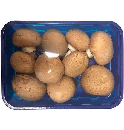 imagen principal del producto