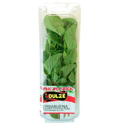 imagen principal del producto