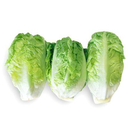 imagen principal del producto