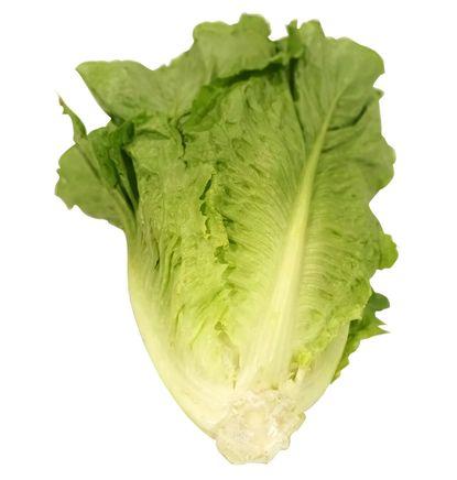 imagen principal del producto