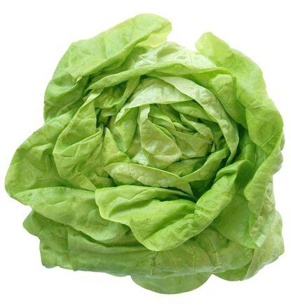 imagen principal del producto