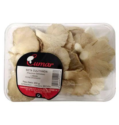 imagen principal del producto