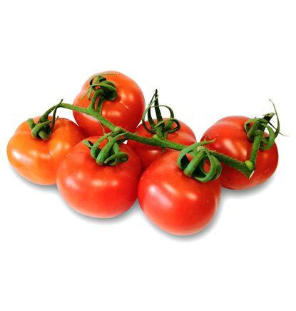 imagen principal del producto