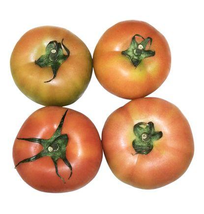 imagen principal del producto