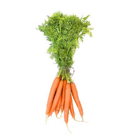 imagen principal del producto