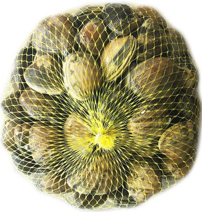 imagen principal del producto