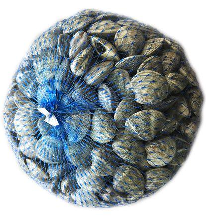 imagen principal del producto