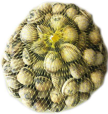 imagen principal del producto