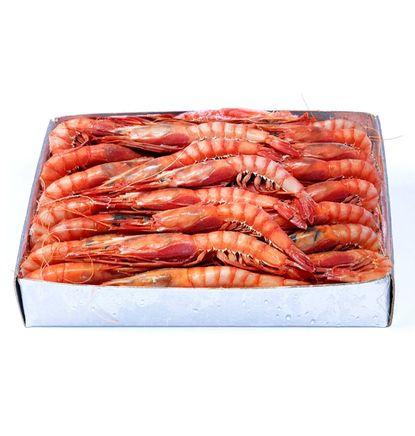 imagen principal del producto