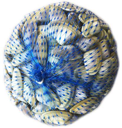 imagen principal del producto