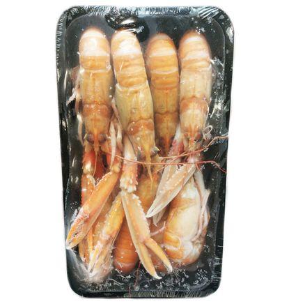 imagen principal del producto