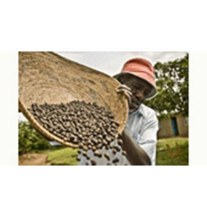 imagen principal del producto