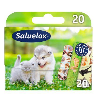 imagen principal del producto