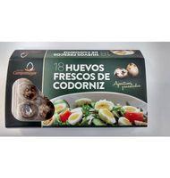 OUS LIDEROU GUATLLA 18 UNITATS