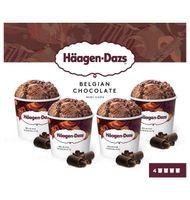 MINICUPS HAAGEN-DAZ XOCO BELGA 4 UNITATS