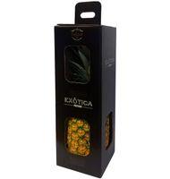 PIÑA DE AVIÓN 2 KG APROX.