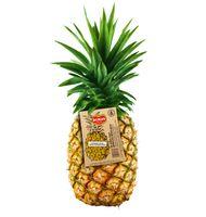 PIÑA DEL MONTE 2 KG APROX.