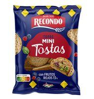 MINI TOSTA RECONDO FRUTOS ROJOS 100 G