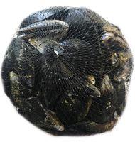 MEJILLÓN FRESCO EN MALLA DE 1 KG