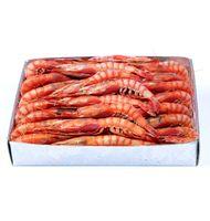 GAMBA VERMELLA MITJANA CAIXA 1 KG