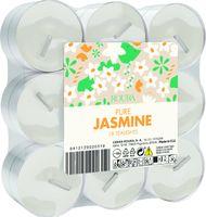 VELAS ROURA JAZMÍN 18 UNIDADES